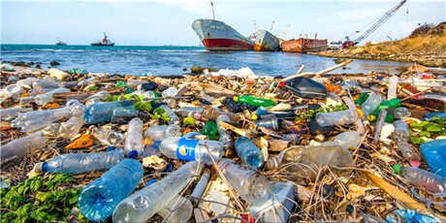 Doğayı Plastikten Korumak İçin Acilen Alınması Gereken Önlemler Neler?