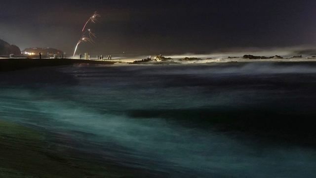 Fotoğraflarla: Dünya 2019'a Böyle Girdi