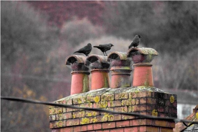 Fotoğrafçılığın Kalbi Dslr Kameraların Yıllardır Neredeyse Hiç Gelişmediğini Kanıtlayan Deney