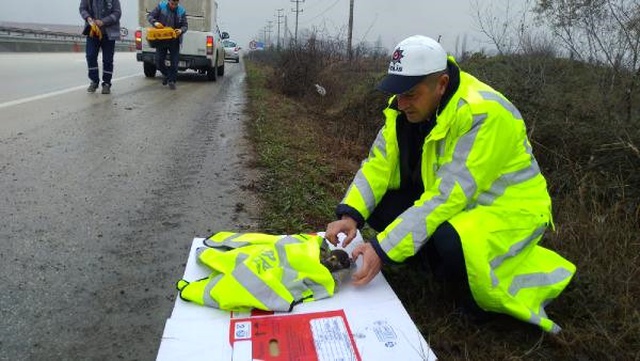 Polis Memuru, Yaralı Şahinin Üzerine Yeleğini Örttü