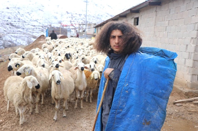 Katıldığı Projeyle Hayatı Değişti! Üniversite Mezunu Genç, 300 Koyuna Çobanlık Yapıyor