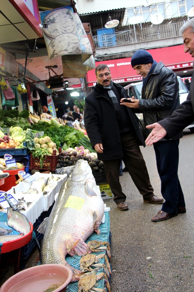 Elazığ'da 80 Kilogram Ağırlığında Turna Balığı Yakalandı