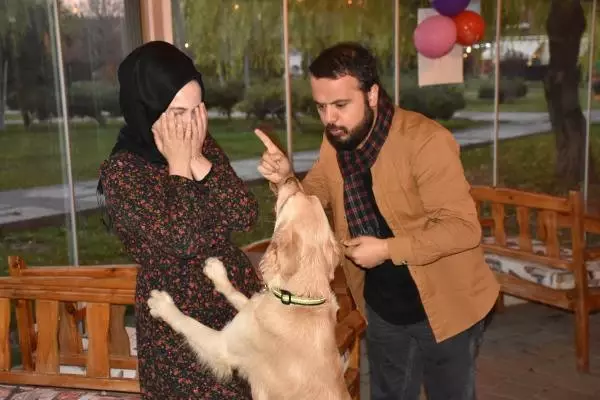 'Bobo' İsimli Köpek, Kadına Şiddet Uygulayanlara Anında Müdahale Ediyor