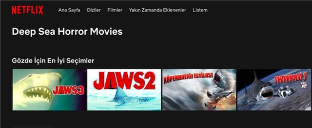 Netflix'te Aradığınız Türde İçeriğe Ulaşmanın En Kolay Yolu: Netflix Codes