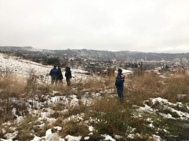 Kayseri'de Sokak Köpeklerinin Saldırdığı Lise Öğrencisi Öldü, Arkadaşı Ağır Yaralandı