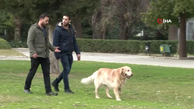 Yeni Bir İş Sektörü Doğuyor! Köpek Gezdirerek Saatte 150 Lira Kazanıyorlar