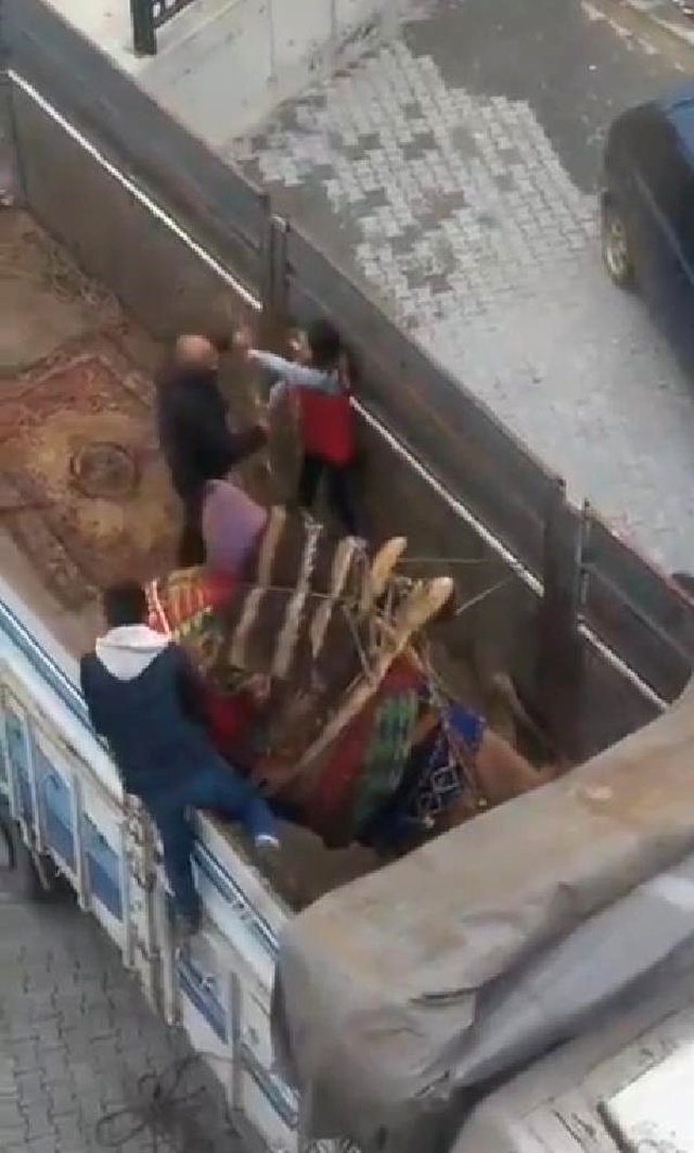 Deveye Sopayla İşkence Eden Adam Güreşlerden Men Edildi
