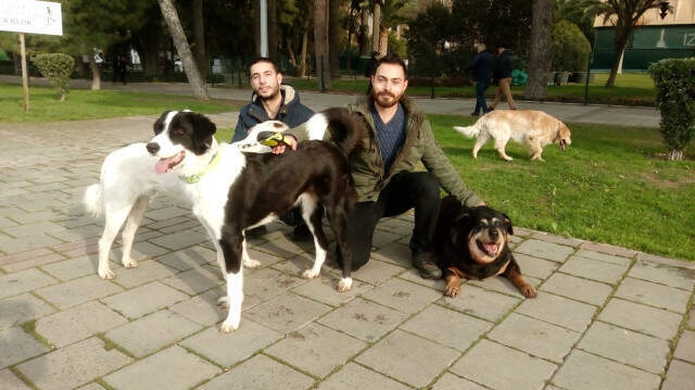 Yeni Bir İş Sektörü Doğuyor! Köpek Gezdirerek Saatte 150 Lira Kazanıyorlar Yeni Bir İş Sektörü Doğuyor! Köpek Gezdirerek Saatte 150 Lira Kazanıyorlar