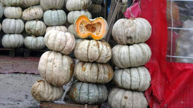 Düzce Bal Kabağının Ünü, Kent Sınırlarını Aştı! Yemek İçin Başka İllerden Geliyorlar