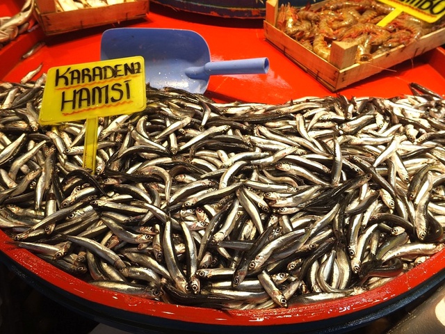 Soğuk ve Karlı Hava Yüzünden, Hamsi Fiyatları Yüzde 300 Zamlandı