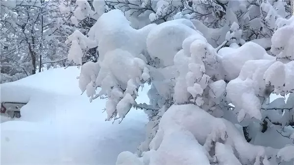 Kar Hakkında Çok Az Kişinin Bildiği 15 Enteresan Bilgi