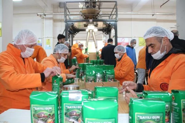 Cezaevinde Üretilen 'Sayılı Gün' Çayı, Yok Satıyor! Yıllık 1,5 Milyon Lira Gelir Elde Ediliyor