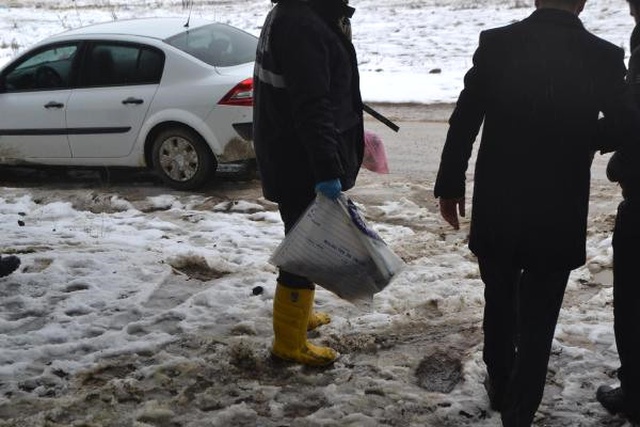 Ormanlık Alanda Kozalak Toplamaya Giden Vatandaş, Kesilmiş Kadın Kolu Buldu