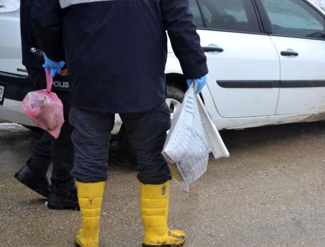 Ormanlık Alanda Kozalak Toplamaya Giden Vatandaş, Kesilmiş Kadın Kolu Buldu