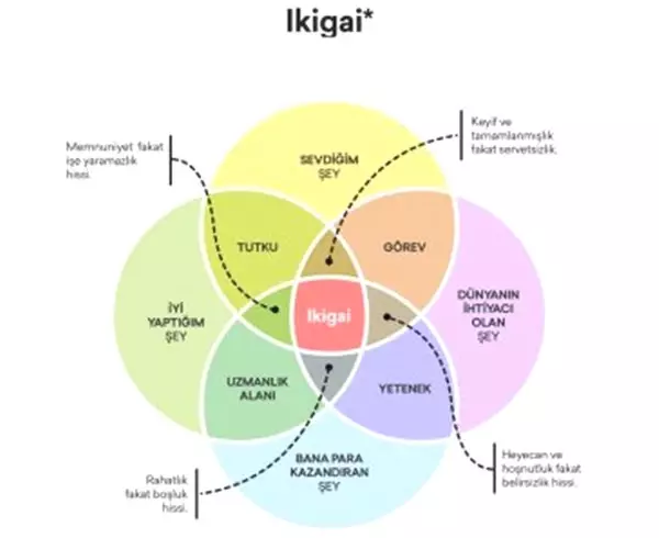 İkigai Ne Demek: Japonların İlginç İdeolojisi