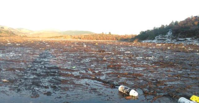 Bir İlçe Diken Üstünde! İçme Suyunun Karşılandığı Bayramiç Barajı'na Zirai İlaç Atığı Karıştı