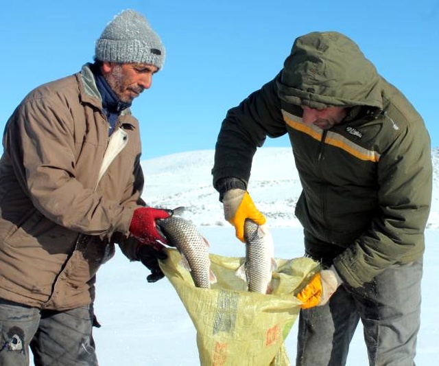 Donan Çıldır Gölü'nde, Eskimo Usulü Balık Avlıyorlar