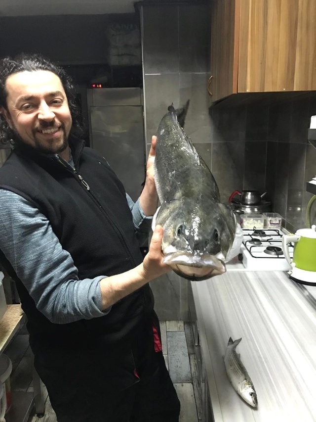 Amatör Balıkçı, Kıyıdan Oltayla 90 Santimetrelik Levrek Yakaladı
