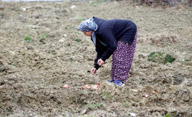 Nişantası'nda Moda Tasarım Atölyesi Olan Kadın, Kızı İçin Memleketine Dönerek Çiftçilik Yapmaya Başladı