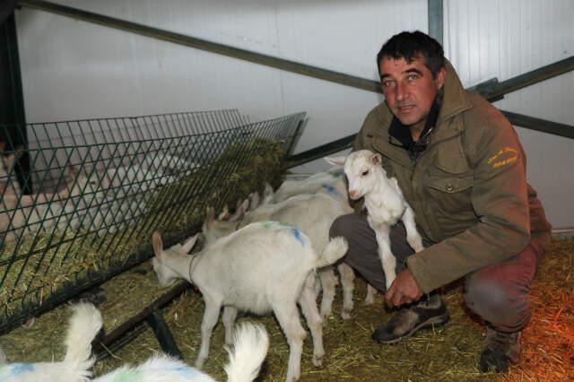 Uzun Yıllar Yöneticilik Yaptıktan Sonra Kravattan Sıkıldı, Memleketine Dönüp Keçi Çiftliği Kurdu