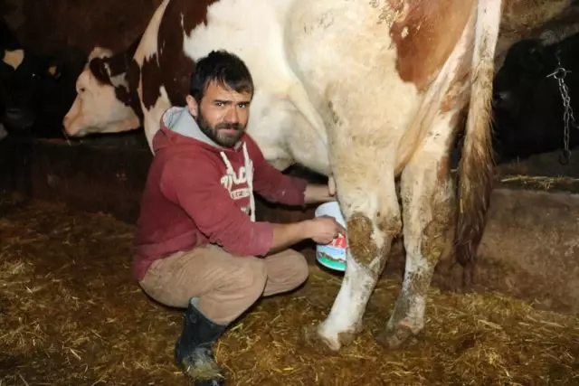 Atanamayan Öğretmen Adayı Çareyi Köyünde Buldu