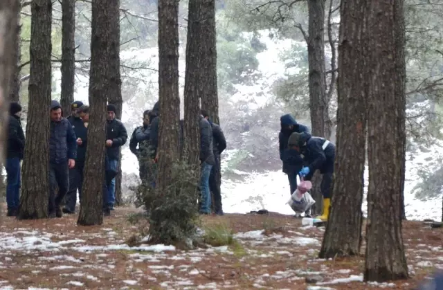 Ormanlık Alanda Kesik Kolu Bulunan Oryantalin Kafatası da Bulundu