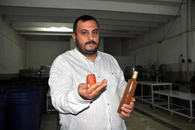 Afyonlu Teknikerin Kaynanadili Meyvesinden Ürettiği Kaktüs Sirkesi, Her Derde Deva Oluyor