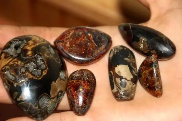 Bayburt'ta Kömür Diye Toplanıp Yakılan Taşın Kehribar Olduğu Öğrenilince, Bir Çok Ülke Almak İçin Sıraya Girdi