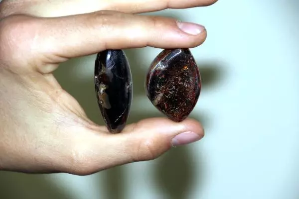 Bayburt'ta Kömür Diye Toplanıp Yakılan Taşın Kehribar Olduğu Öğrenilince, Bir Çok Ülke Almak İçin Sıraya Girdi