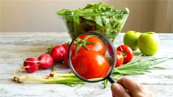 Gıda Güvenliğinde Hastalık Yapıcı Bakteri Testleri, Bilgisayar Programları Yardımıyla Yapılabilecek