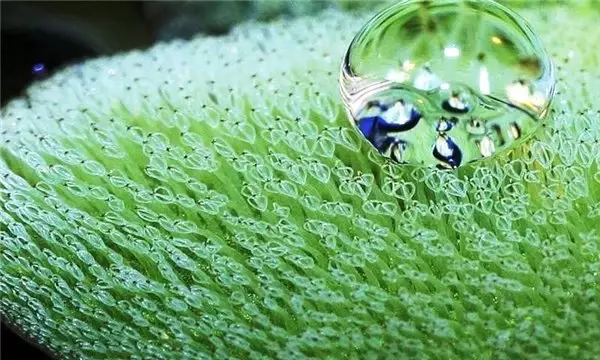 Sürtünmeyi Azaltan Yeni Gövde Kaplaması, Gemilere %20 Oranında Yakıt Tasarrufu Sağlatabilir