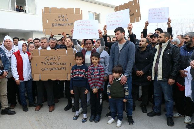 40 Yıllık Garip Tavukçuluk Konkordato Talep Etti