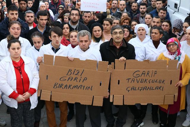 40 Yıllık Garip Tavukçuluk Konkordato Talep Etti