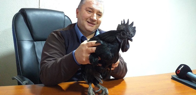 Görenler Şaşırıp Kalıyor! Bu Tavuğun Kanı Hariç Her Yeri Simsiyah