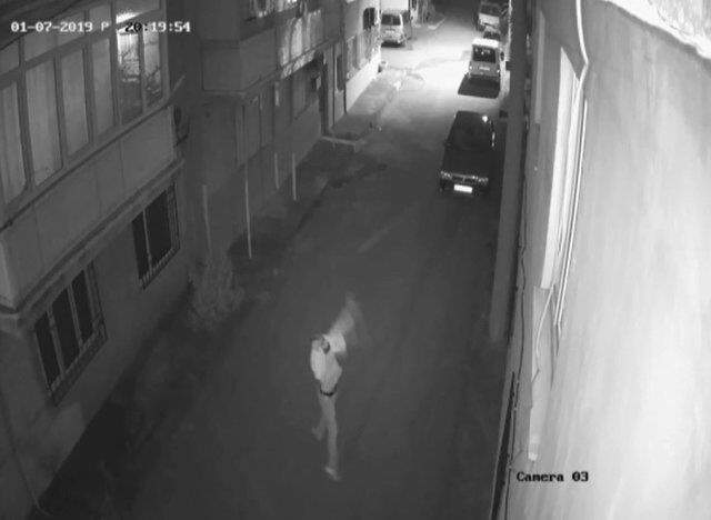 Evi 7 Defa Saldırıya Uğrayan Kadın Konuştu: Öldürecek Bizi, Korkuyorum! Evi 7 Defa Saldırıya Uğrayan Kadın Konuştu: Öldürecek Bizi, Korkuyorum!