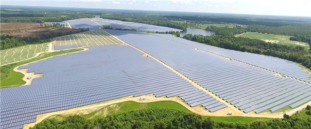 Geçtiğimiz Yıl Türkiye'de Sadece 155 Adet Elektrikli Otomobil Satıldı