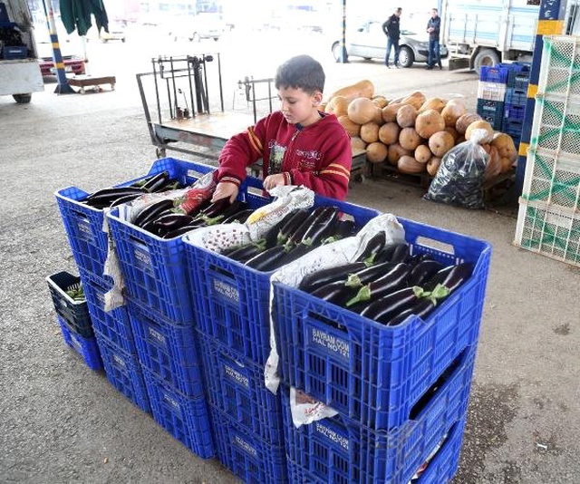 Marketlerin 'Patlıcan' Kararı Fiyatı Düşürdü