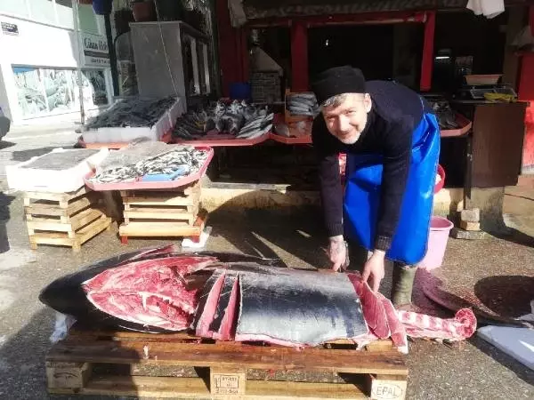 150 Kiloluk Orkinos Tezgaha Çıkınca Vatandaşların İlgi Odağı Oldu