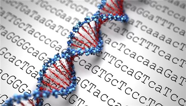 Genetiği Değiştirilmiş Çinli Bebekler Üzerinde Kullanılan Ürkütücü Yöntem