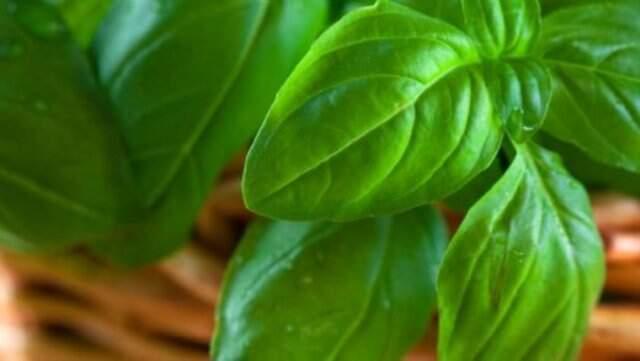 Gülüşünüzü Mükemmelleştiren 7 Yöntem Gülüşünüzü Mükemmelleştiren 7 Yöntem