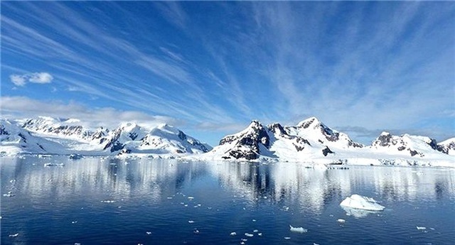 Kanada'da Eriyen Buzulların Altından 40 Bin Yıllık Bitki Fosilleri Çıktı