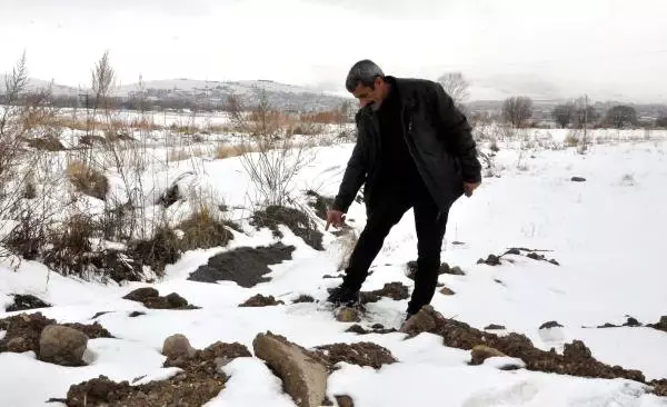 Fotokapanı Alıp Evine Götüren Temizlik İşçisi İçin Karar Verildi