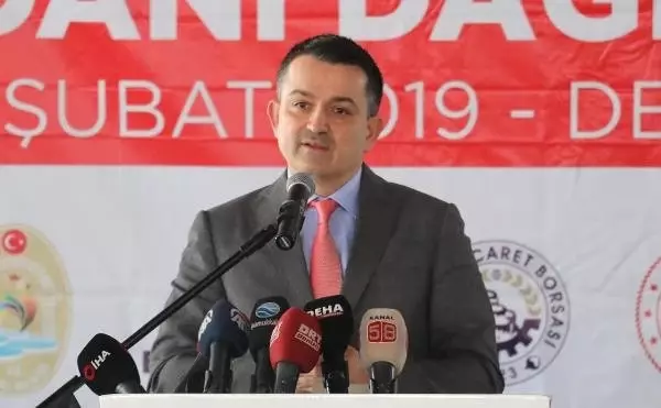 Bakan Pakdemirli: Petshoplarda Artık Kedi ve Köpek Satılmayacak