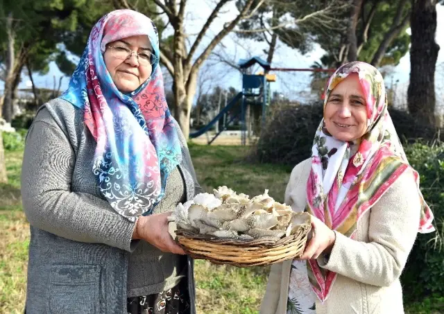 İsmini Bile Bilmiyorlardı, Şimdi Talebe Yetişemiyorlar