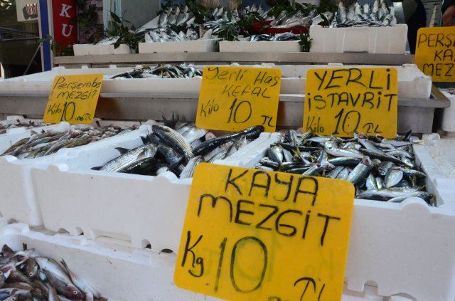 Fiyatların 10 TL'ye Sabitlendiğini Duyan Vatandaş Balıkçılara Akın Etti