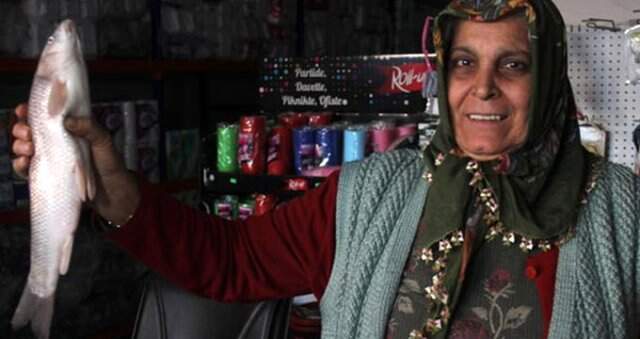 Adana'da Sazan Balığıyla Yapılan Dolandırıcılığa Güldüren Tepki: Sazan Gibi Düştük