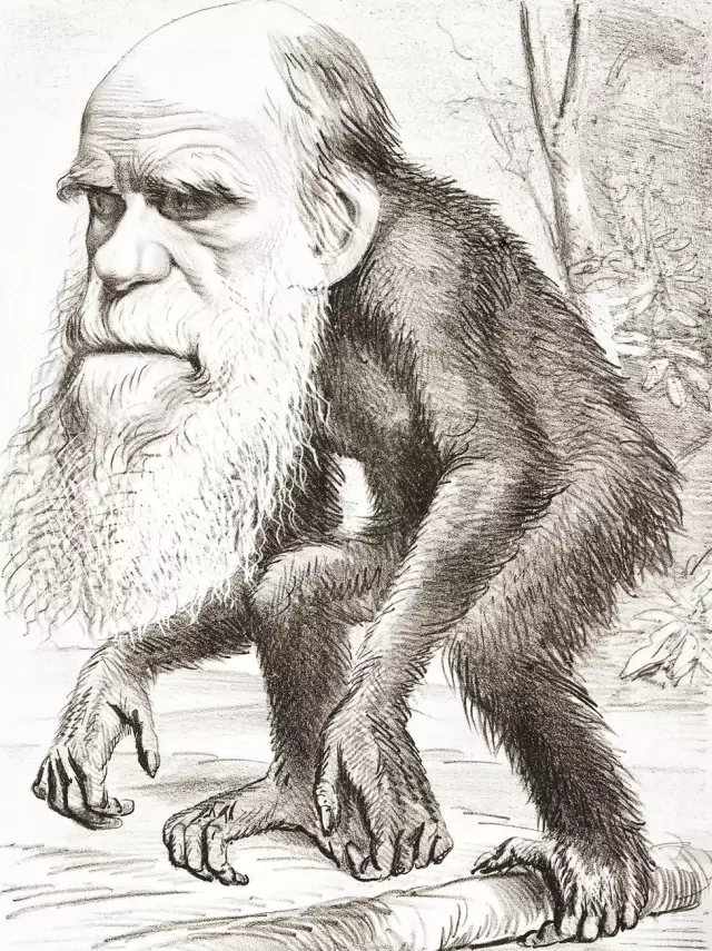 Charles Darwin: 210. Doğum Gününde Evrim Teorisini Yaratan Bilim Adamının Sıra Dışı Hayatı