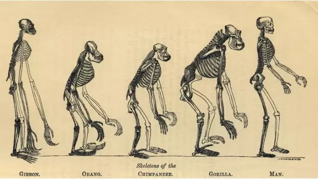 Charles Darwin: 210. Doğum Gününde Evrim Teorisini Yaratan Bilim Adamının Sıra Dışı Hayatı