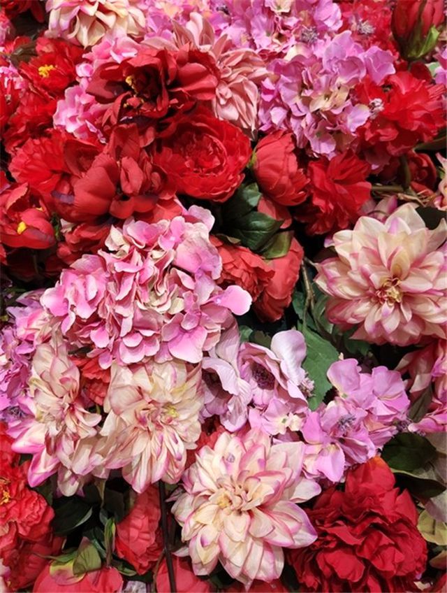 48 Mp Kameralı Xiaomi mi 9 ile Çekilen İlk Fotoğraflar Yayınlandı