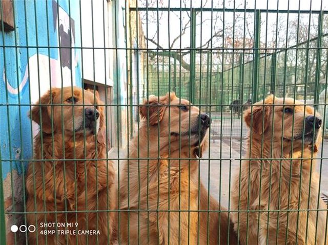 48 Mp Kameralı Xiaomi mi 9 ile Çekilen İlk Fotoğraflar Yayınlandı